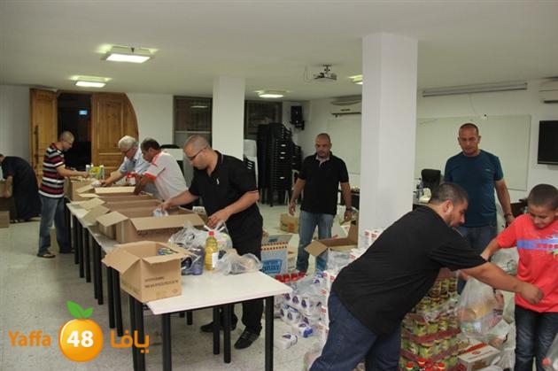 tard nema2 sjf (7).JPG